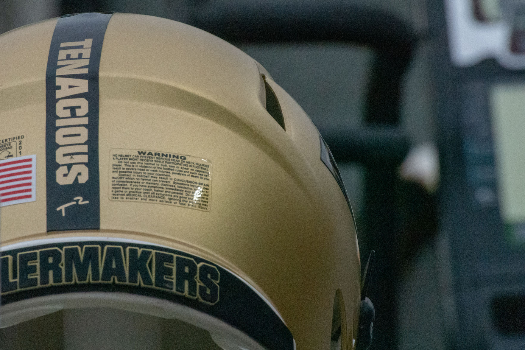 11/17/18 Wisconsin, Tyler Trent Helmet Sticker